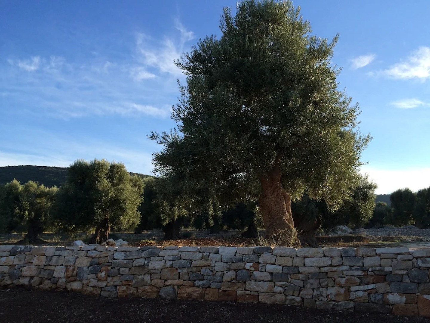 Masseria Capece