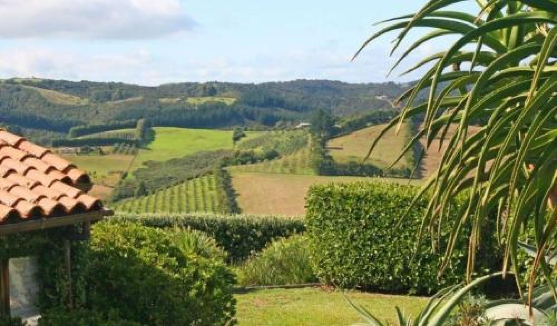 The Vineyard Cottage