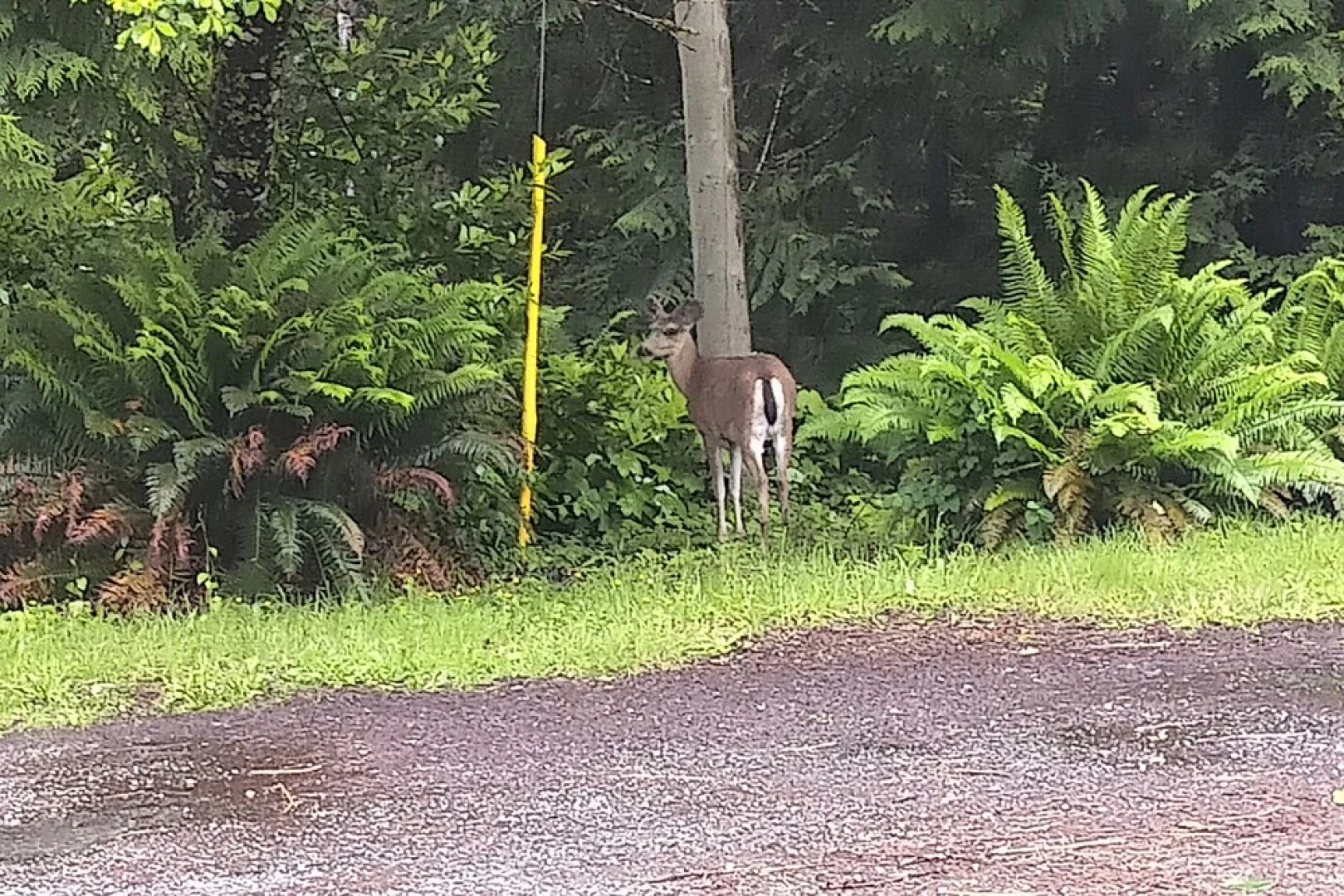 The Cabin at Moon Dance