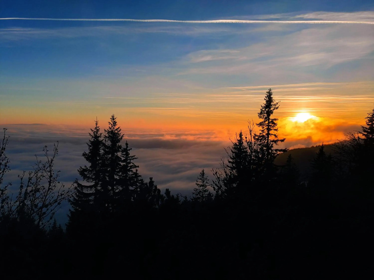 Premium 116m2 Apartment Donovaly