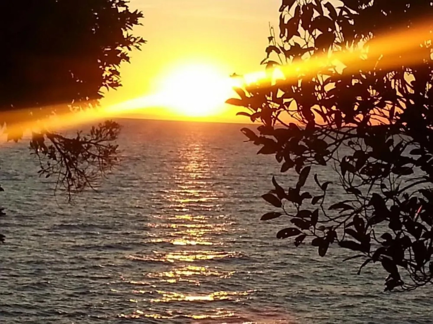 Koh Rong Beach Bungalow