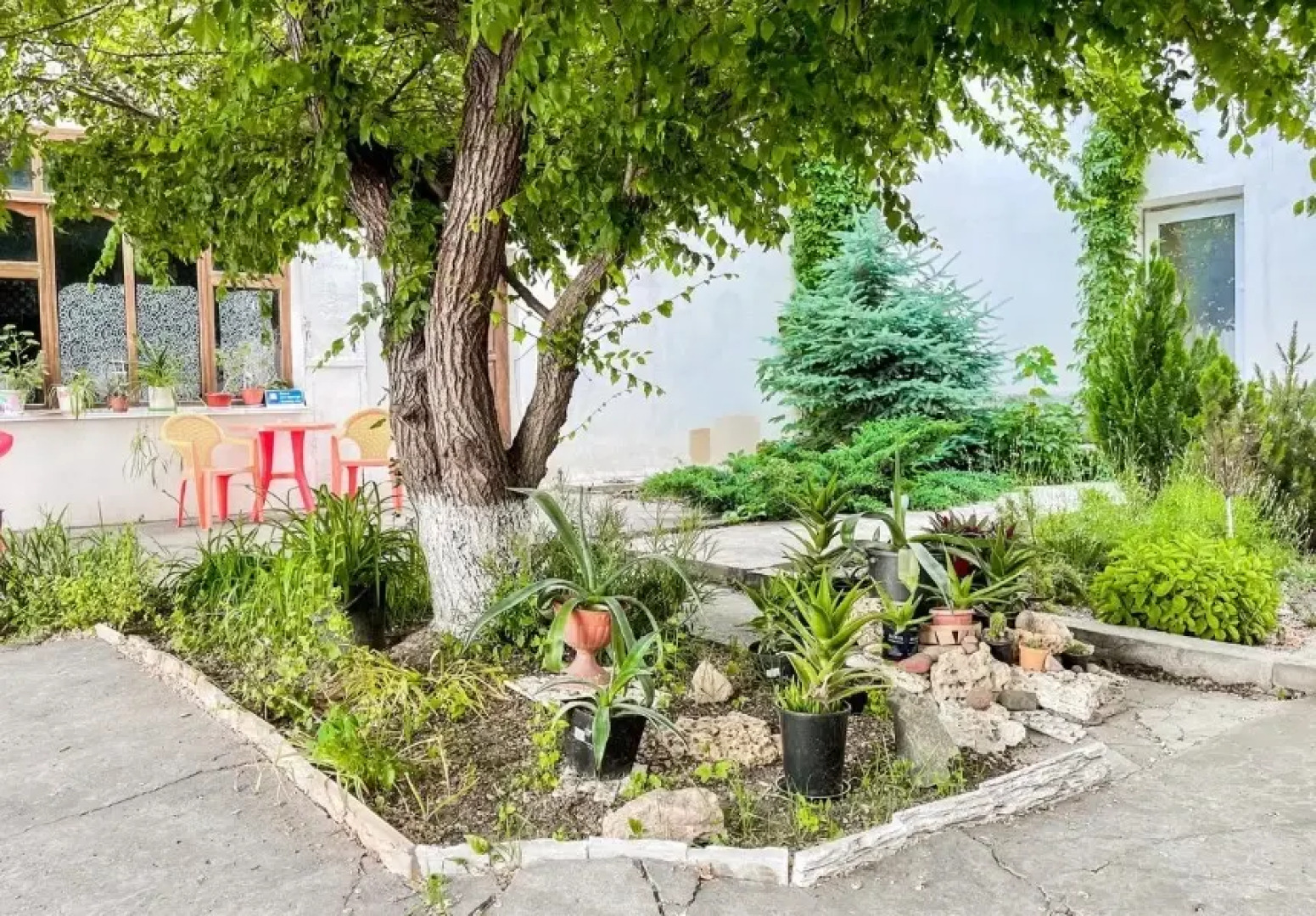 Абсолют Инн