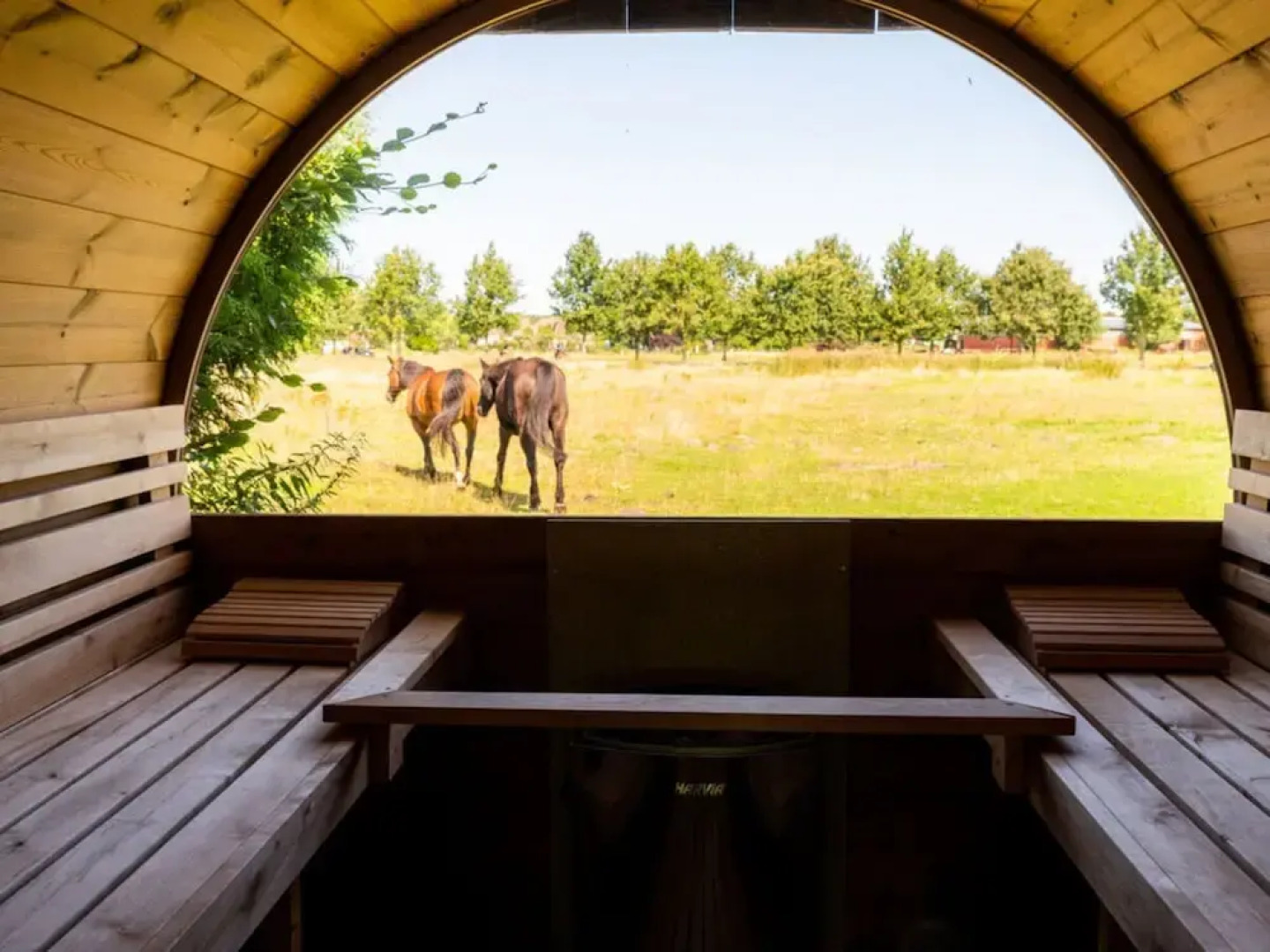 Anchorage Darss Modern Retreat