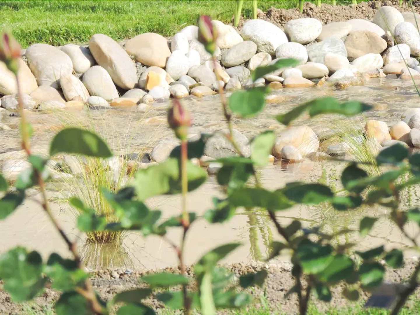 Le Clos du Presbytère