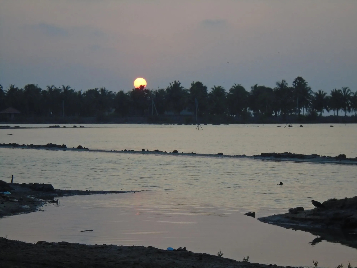 Kite Bay Resort Kalpitiya