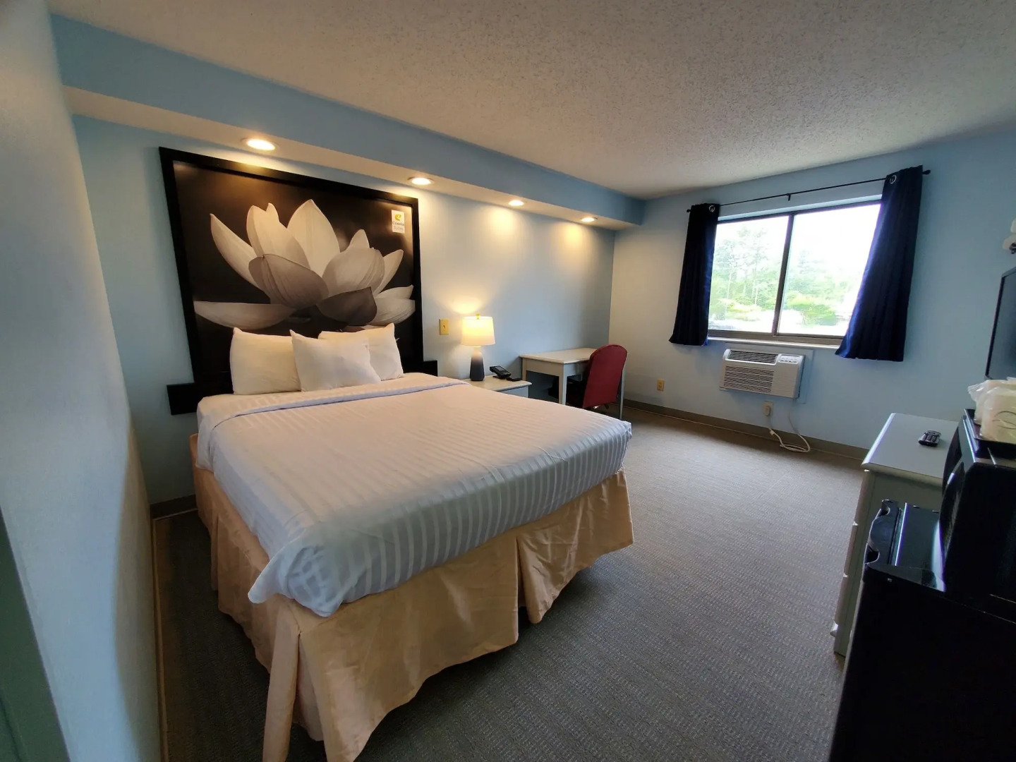 Coastal Inn & Suites - Wilmington, NC