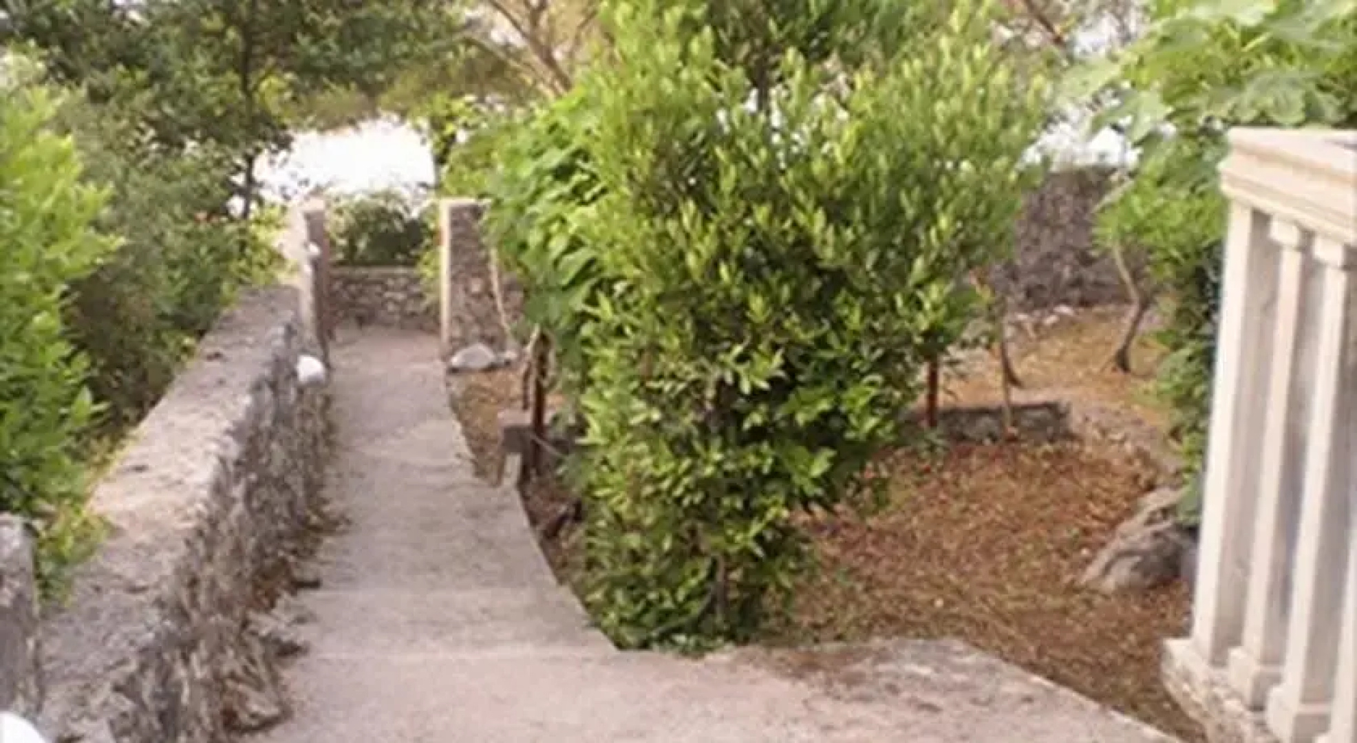 Krasici Green House