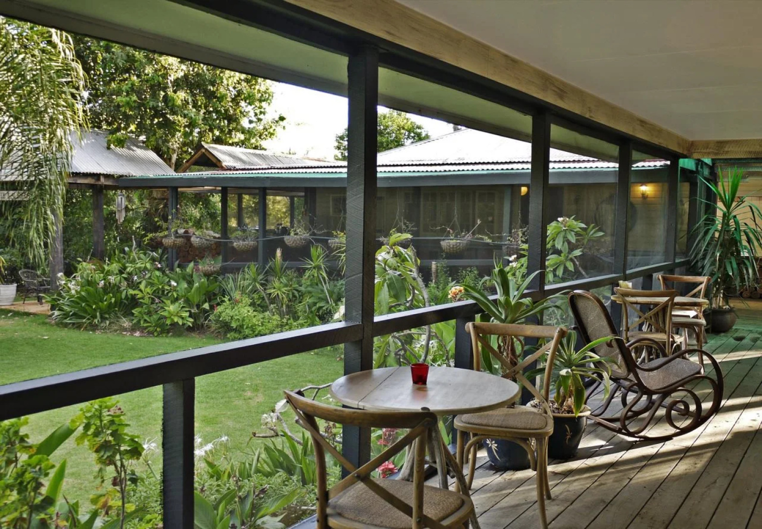 The Laurels of Chinchilla