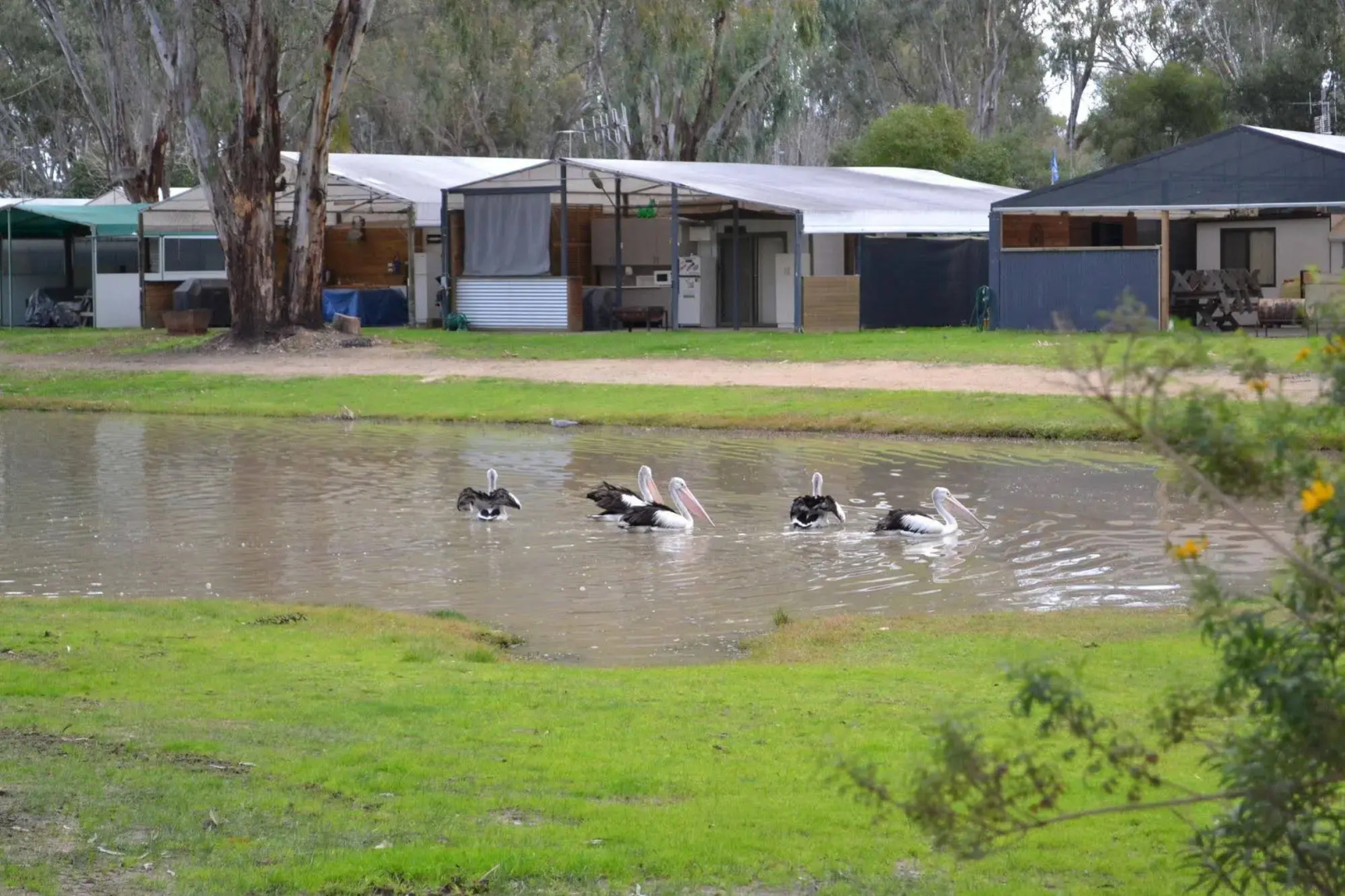 Ingenia Holidays Murray Bend