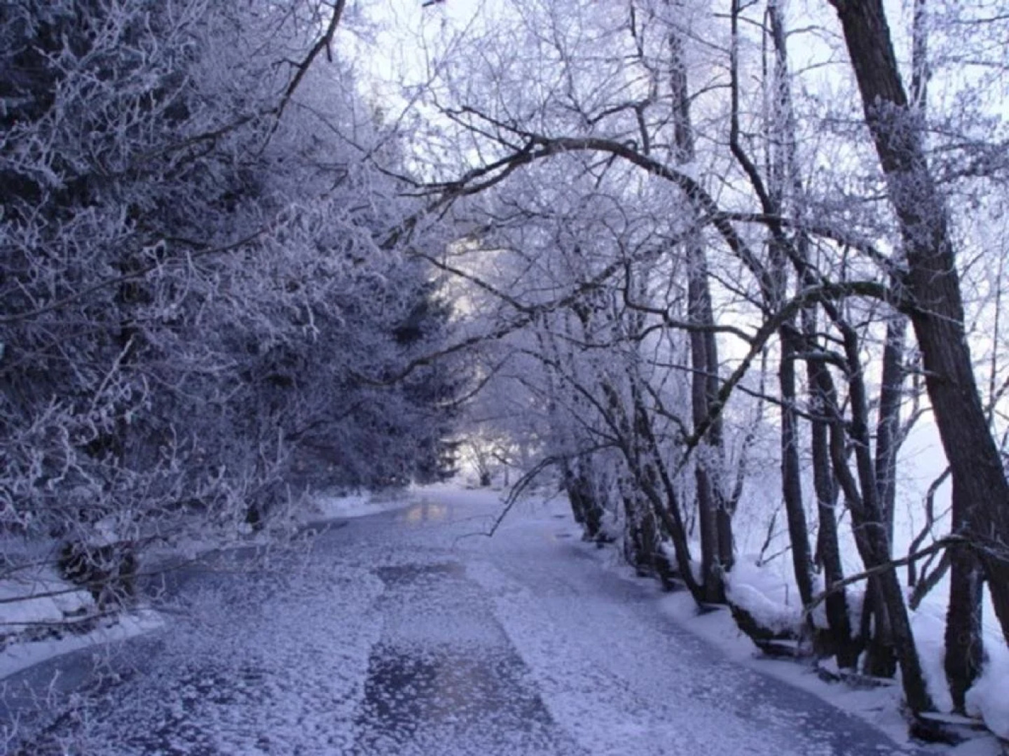 Hotel Pension Hochficht