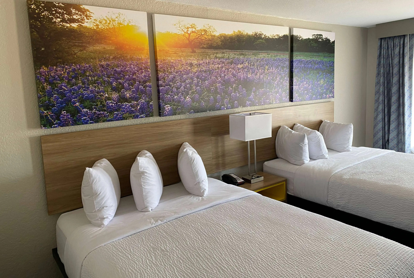 Days Inn by Wyndham Waco University Area