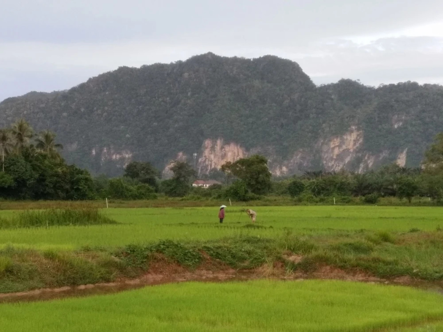 Satun Premium Resort