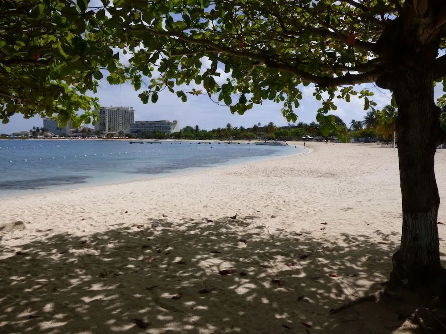 Beach One Bedroom Suite C15