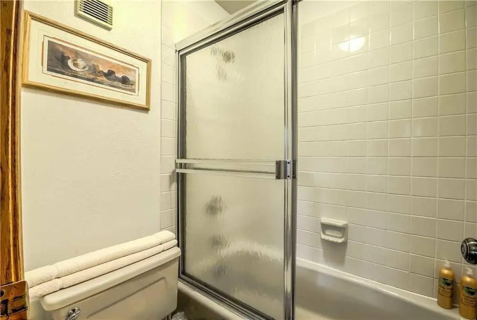 Phoenix at Steamboat - 125