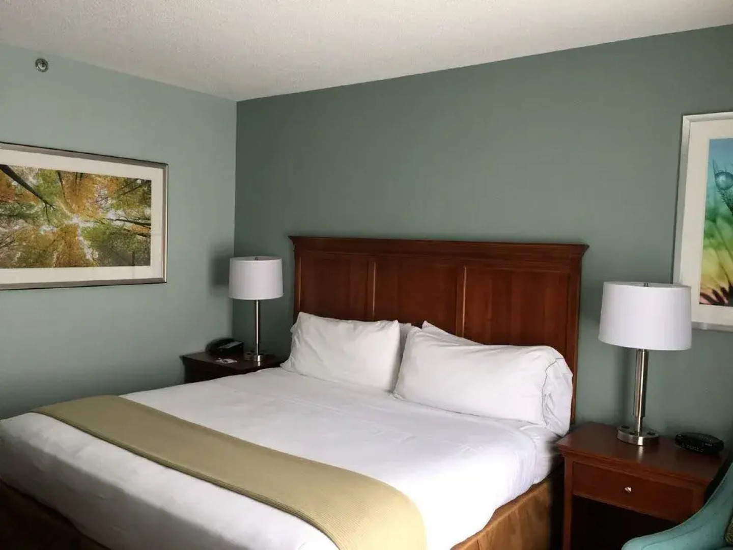 Holiday Inn Express Braselton