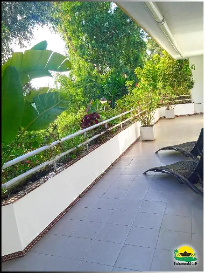 Palmeras del Golf - Torrequebrada