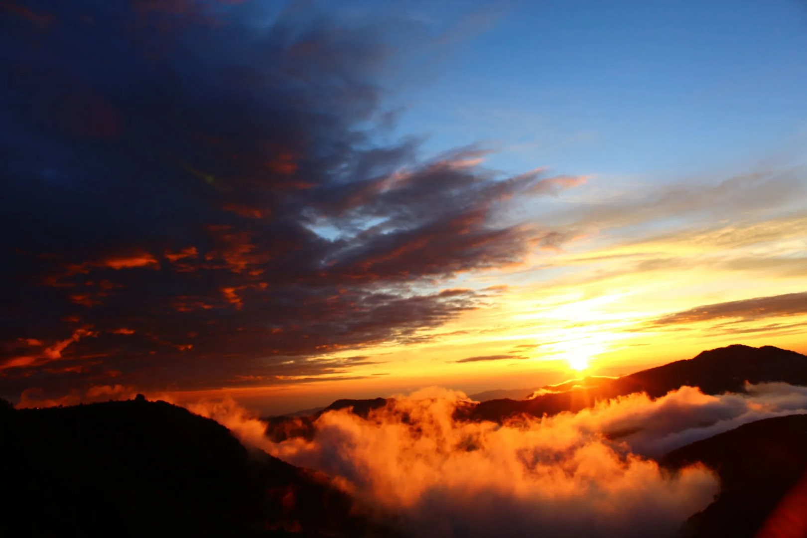 Kufri Pacific Resort