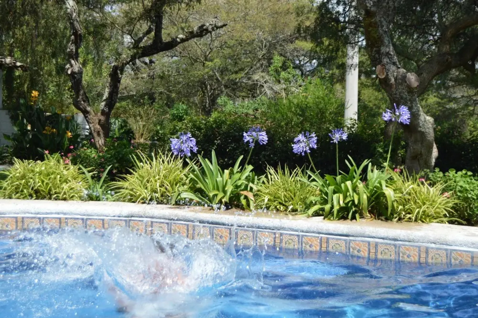 Hacienda San Francisco