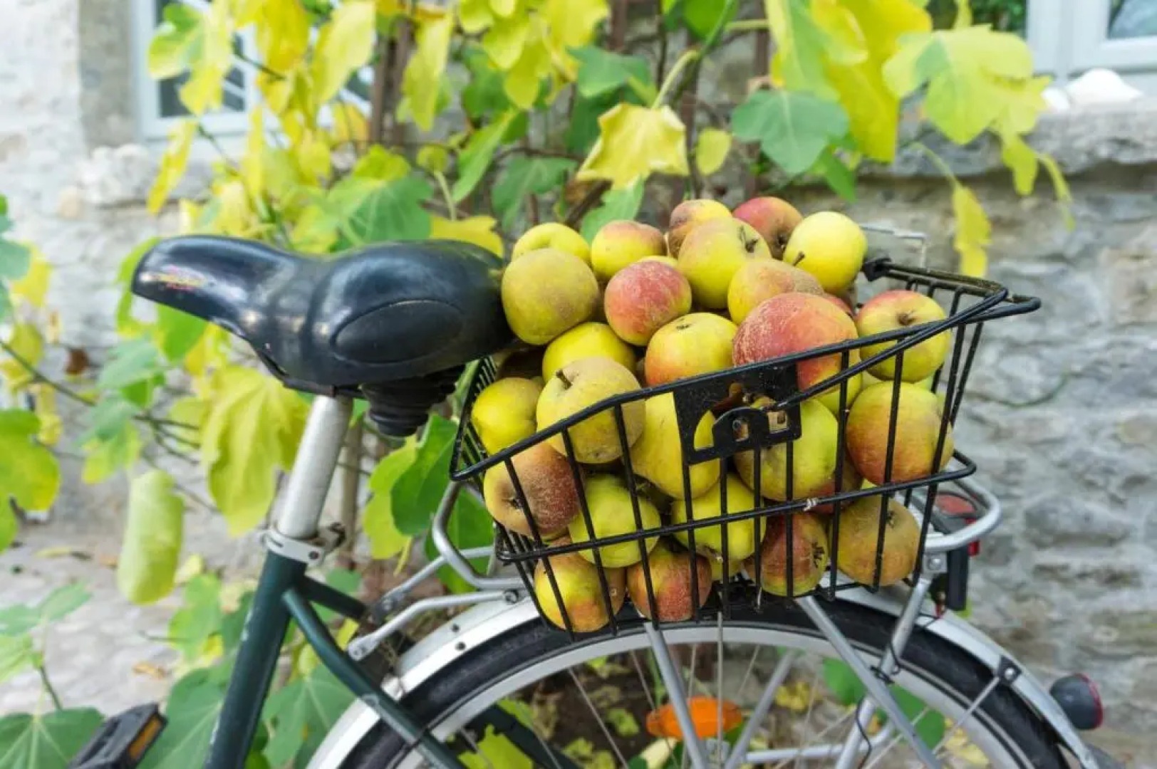 House With 4 Bedrooms in Ballymote, With Enclosed Garden and Wifi - 30