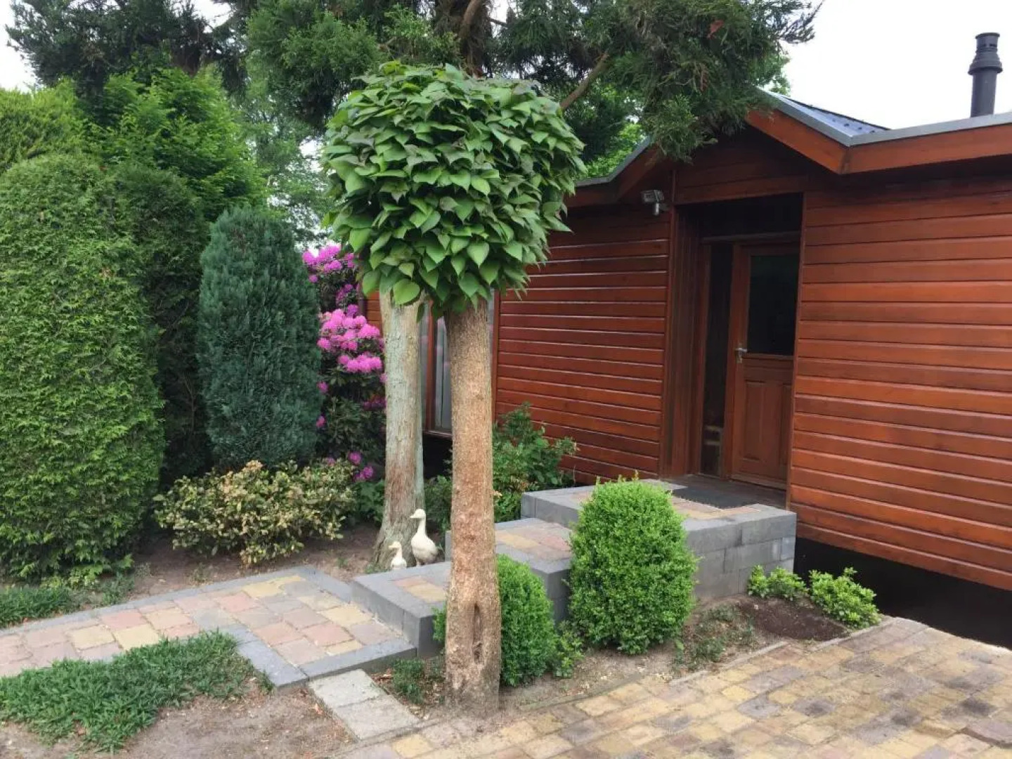 Veluwe Park Reewold Chalet Infinity