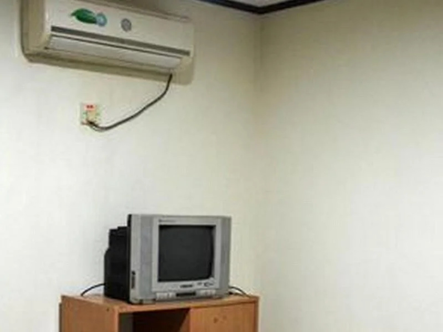 House of the Laughing Bear