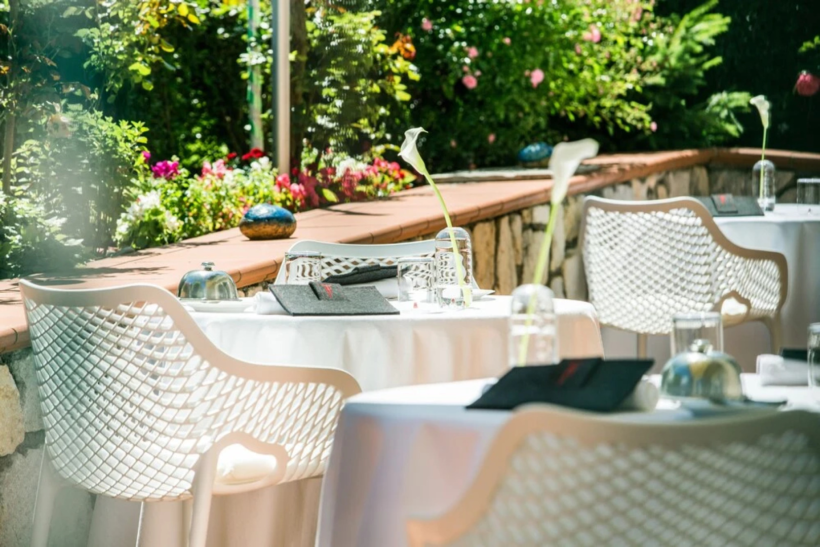 Dietrichsteinerhof Apartments & Rooms