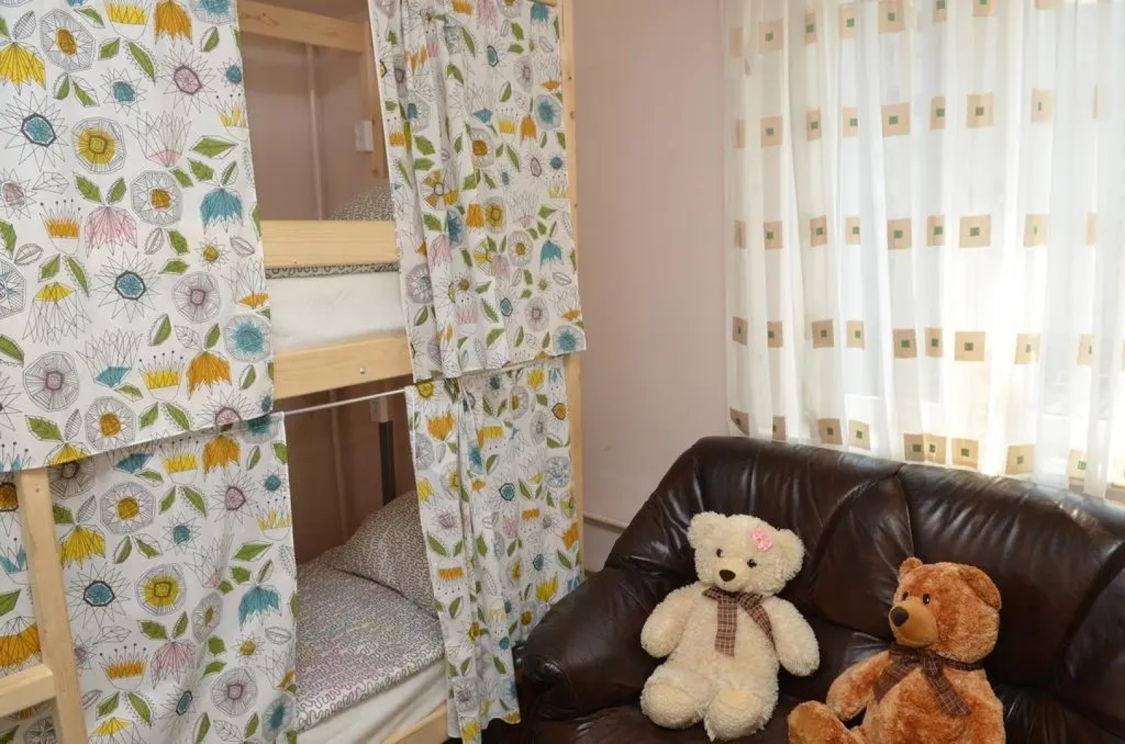 Teddy hostel