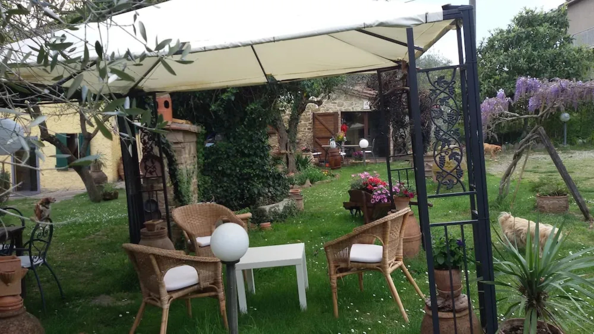 Affittacamere podere romitorio