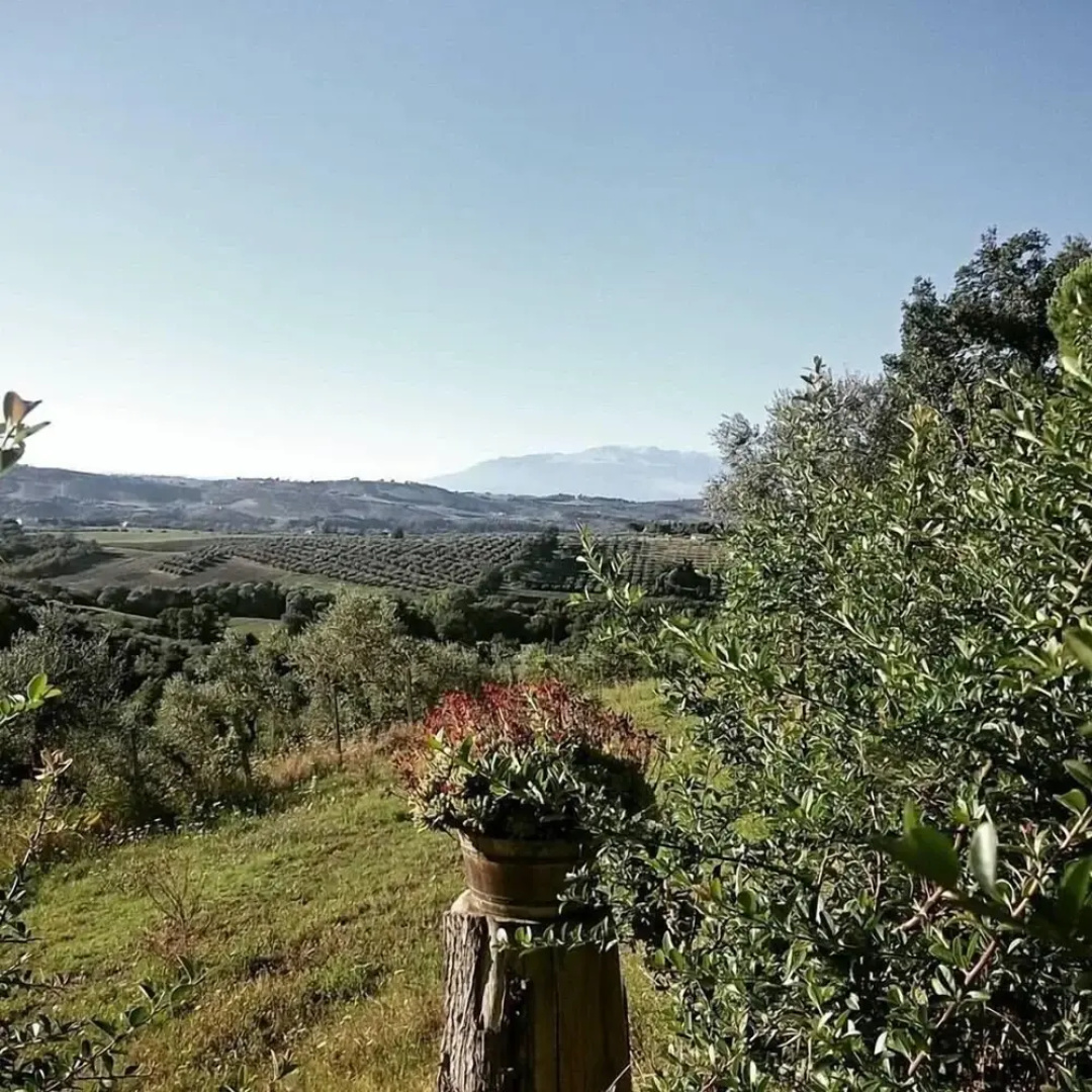 Agriturismo Collecera