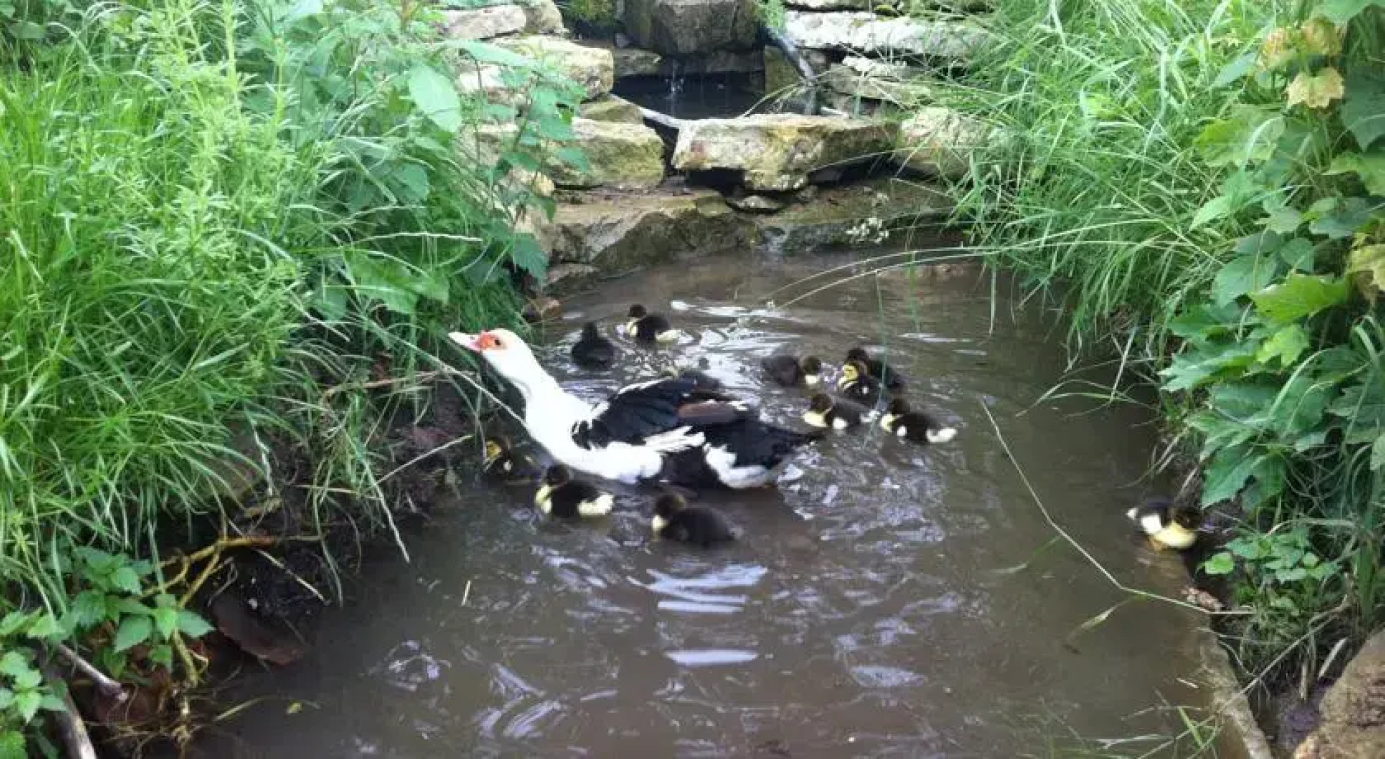 Äventyrsgårdens Vandrarhem, Kinnekulle