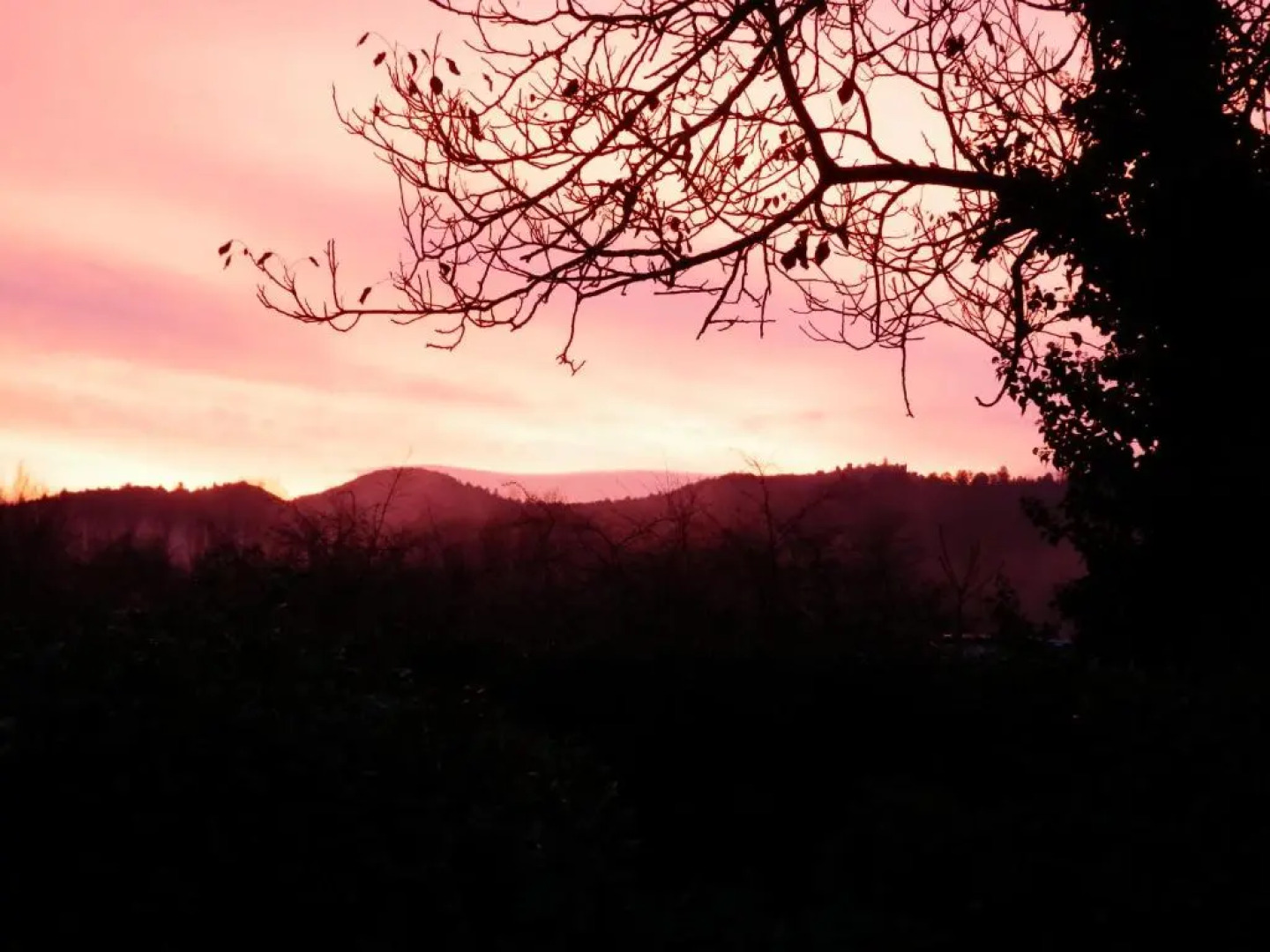 The Railway Cottage at Montazels