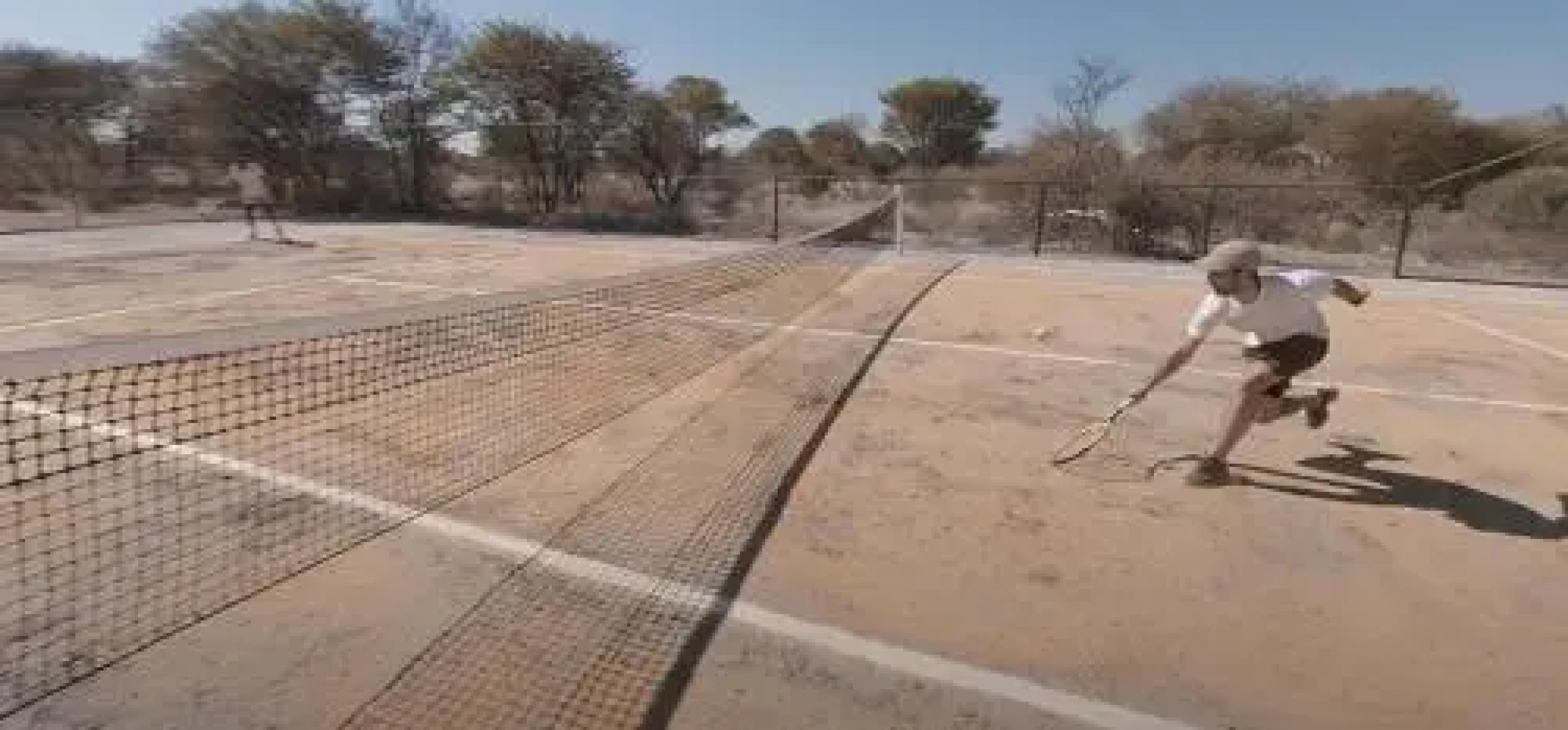 Feline Fields By Mantis