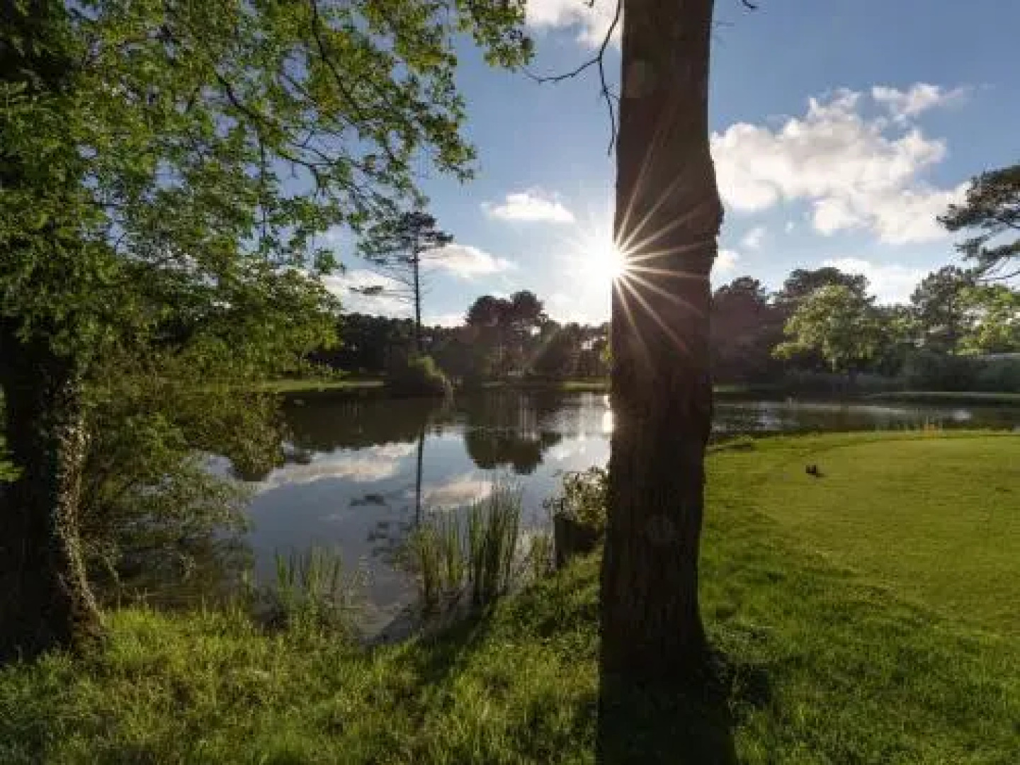 Maison Seignosse, 1 pièce, 6 personnes - FR-1-239-394