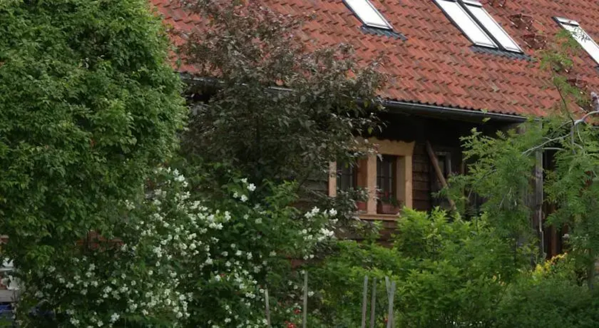 Stara Szkoła Architekci