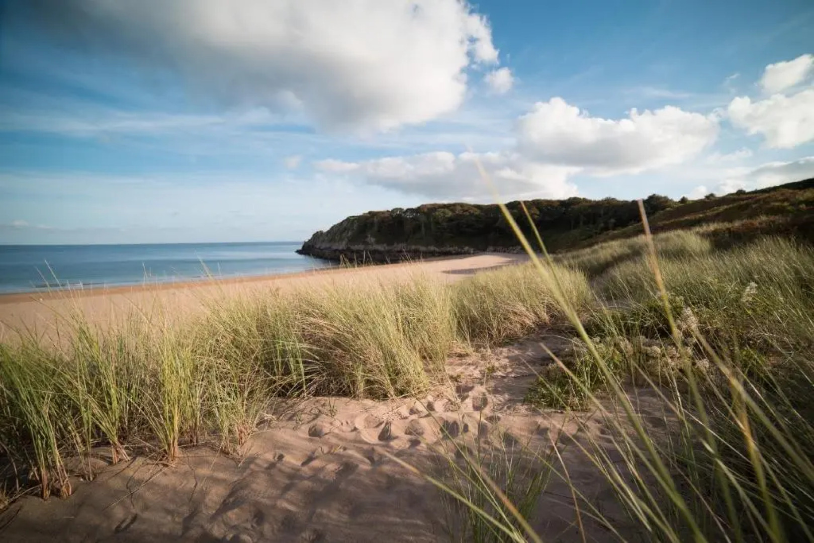 Timber Hill Self Catering Cedar Lodges