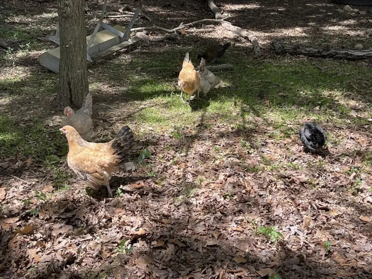 Hobbit House On A Gentleman's Farm 3 Bedroom Farmhouse by Redawning