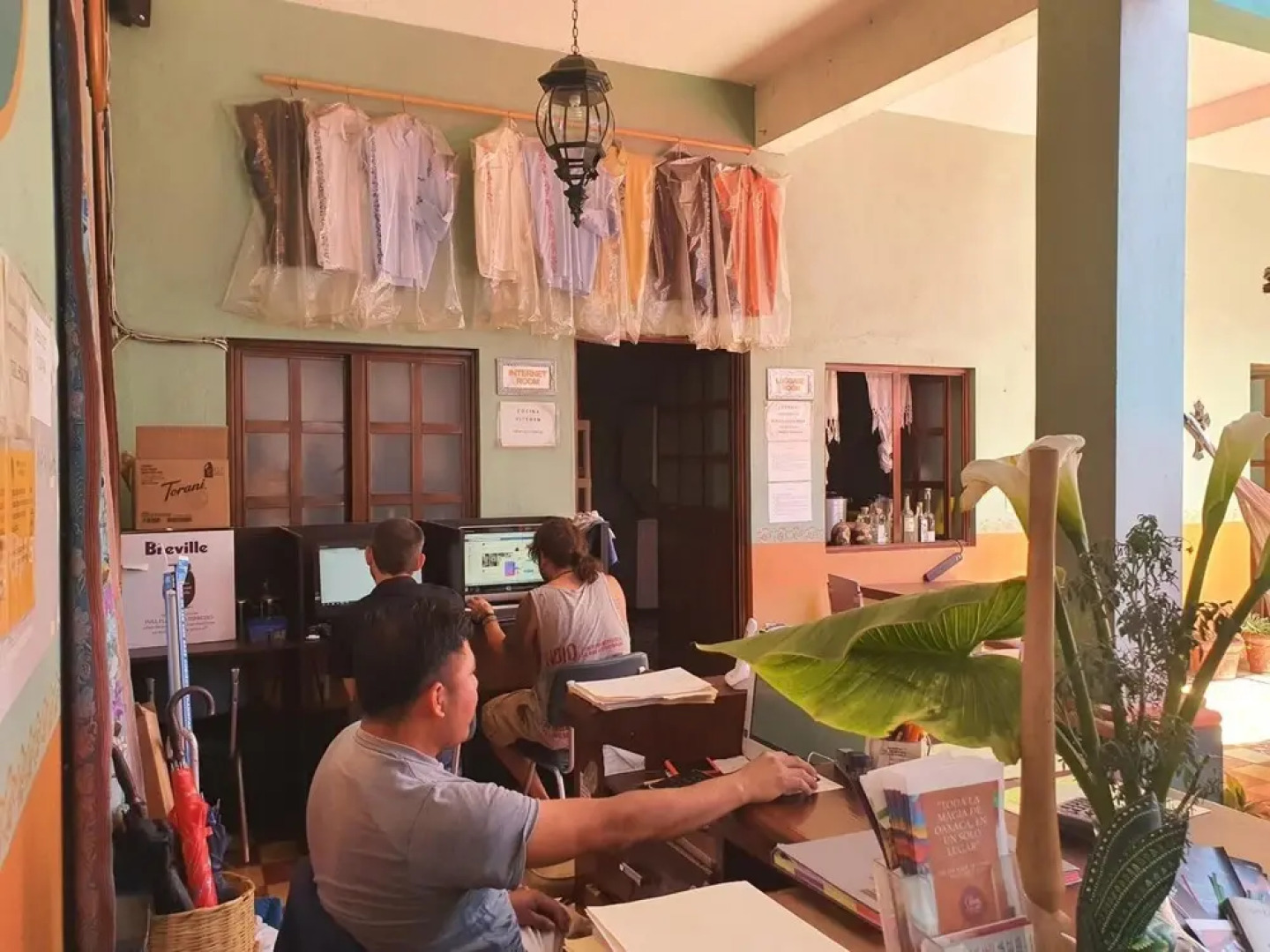 Hierba de Conejo - Hostel