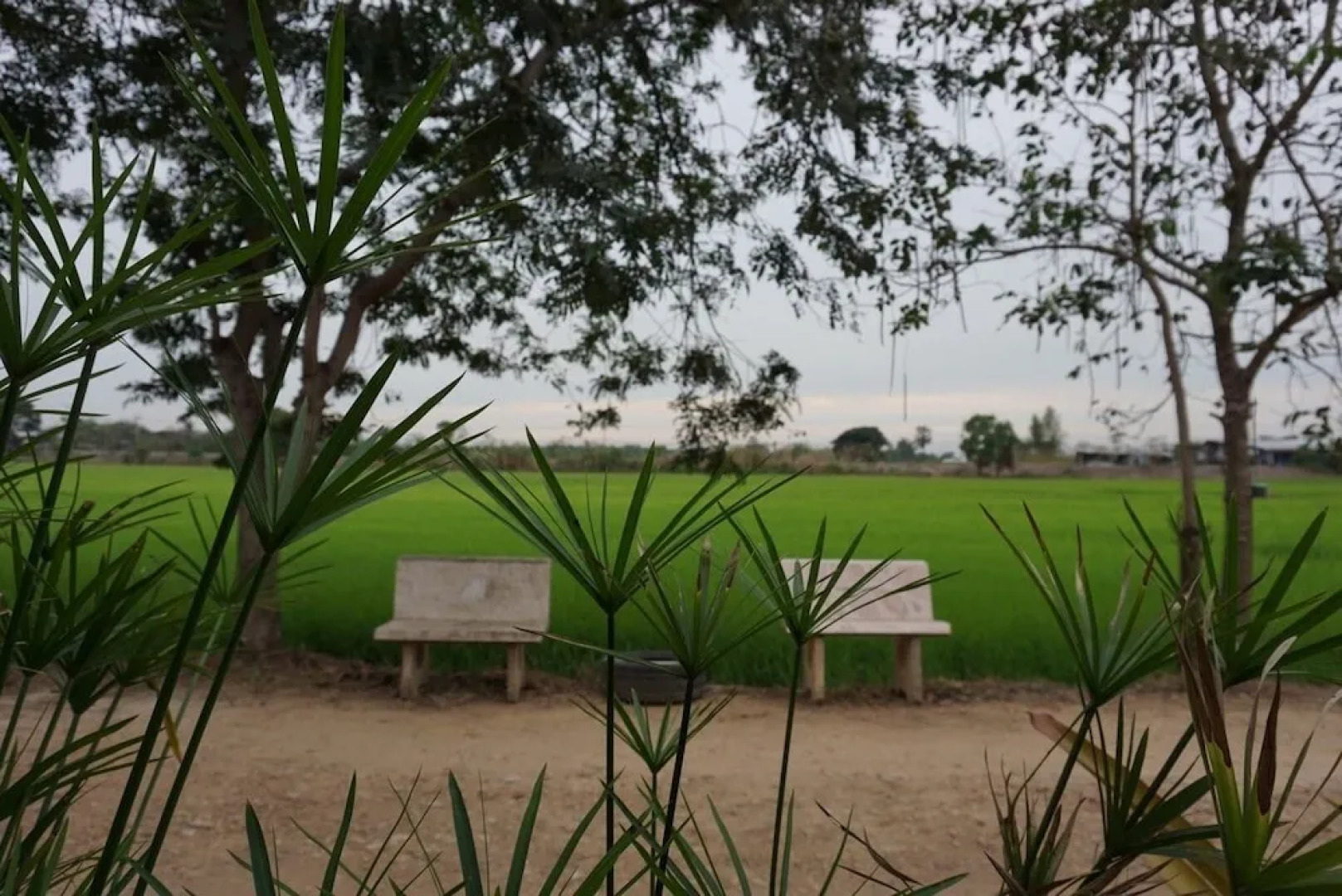 Pun Na Homestay Bangsai