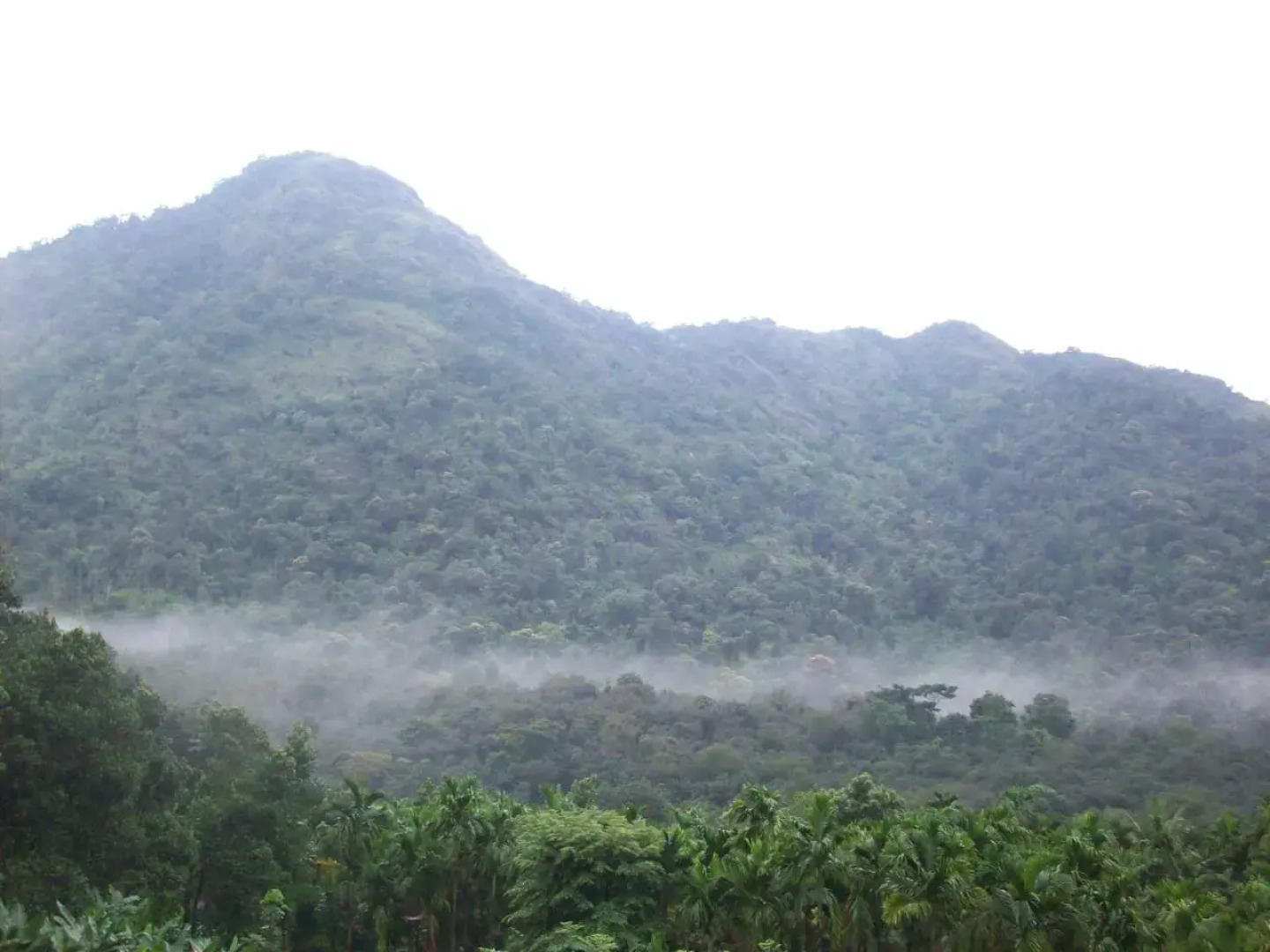 Great Hornbill Serviced Villa , Nilambur