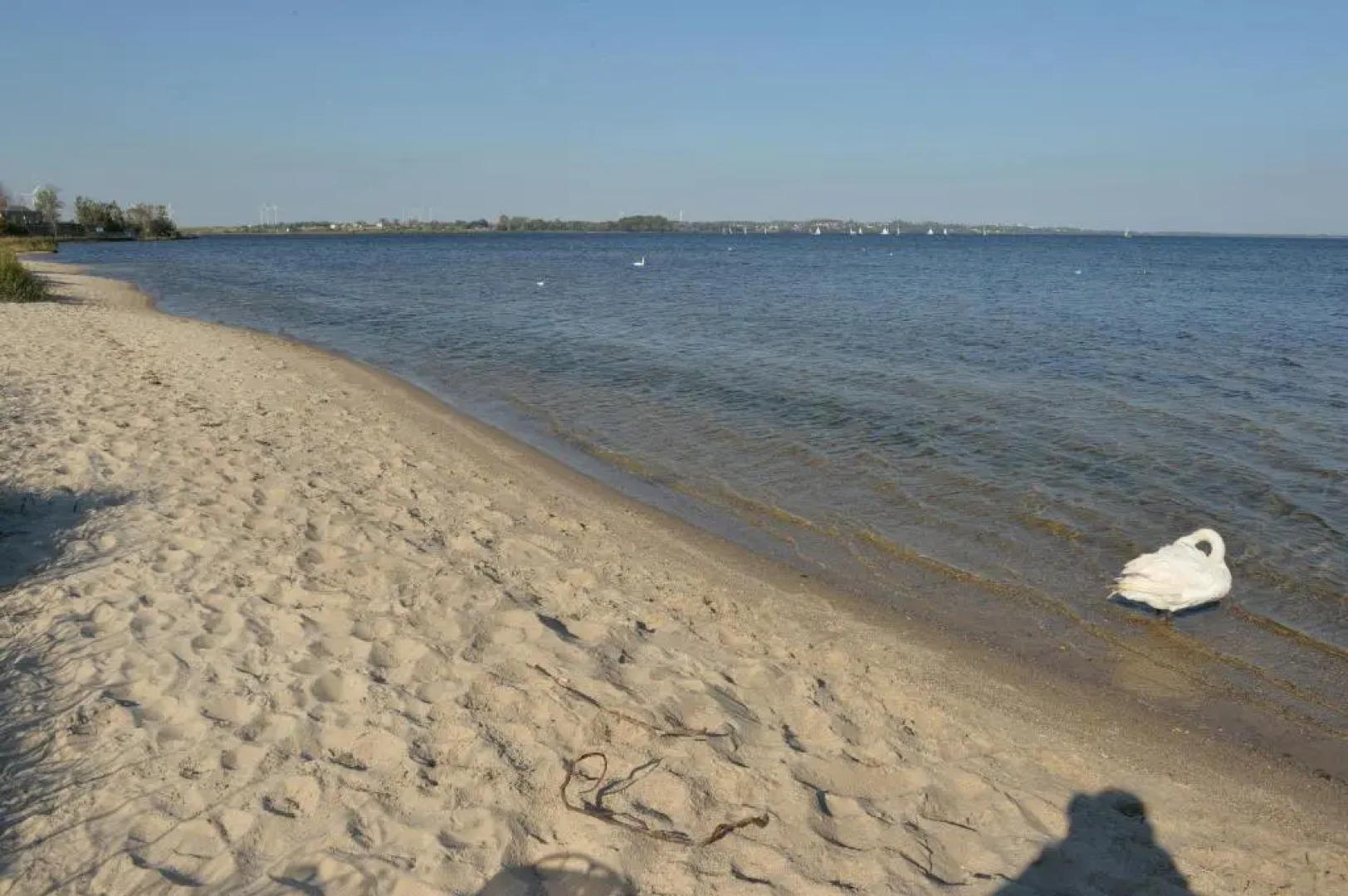 Apartament Babitonga Ii