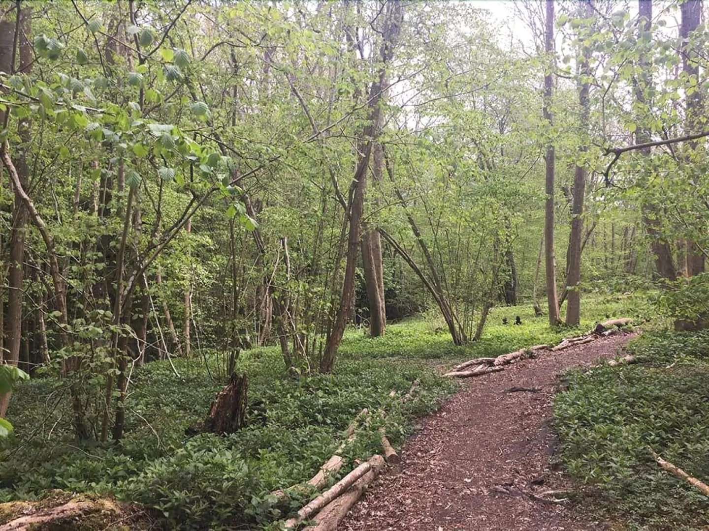 Woodside Bed And Breakfast