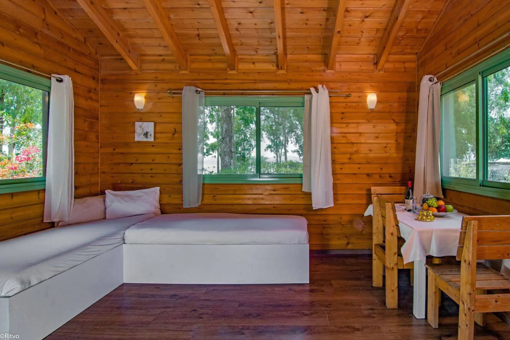 Olive in Sea of Galilee