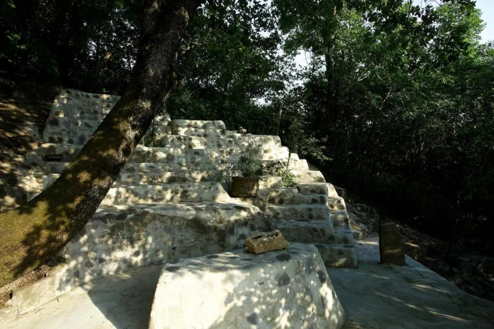 B&B Molino Del Gobbo