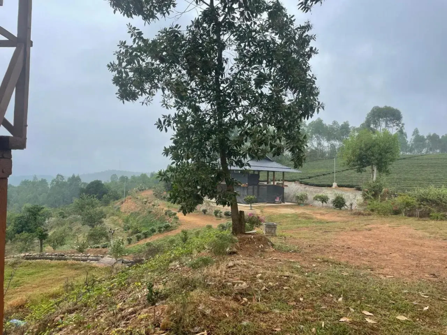 Binh Nga Homestay