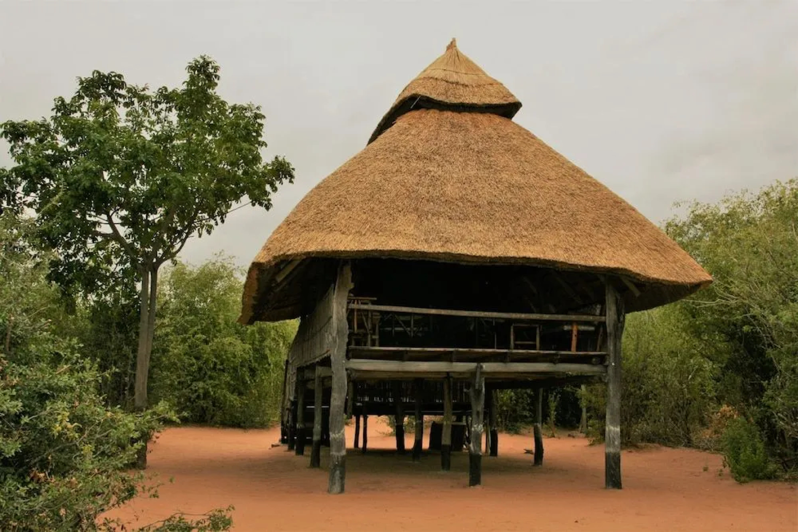 Rhino Safari Camp
