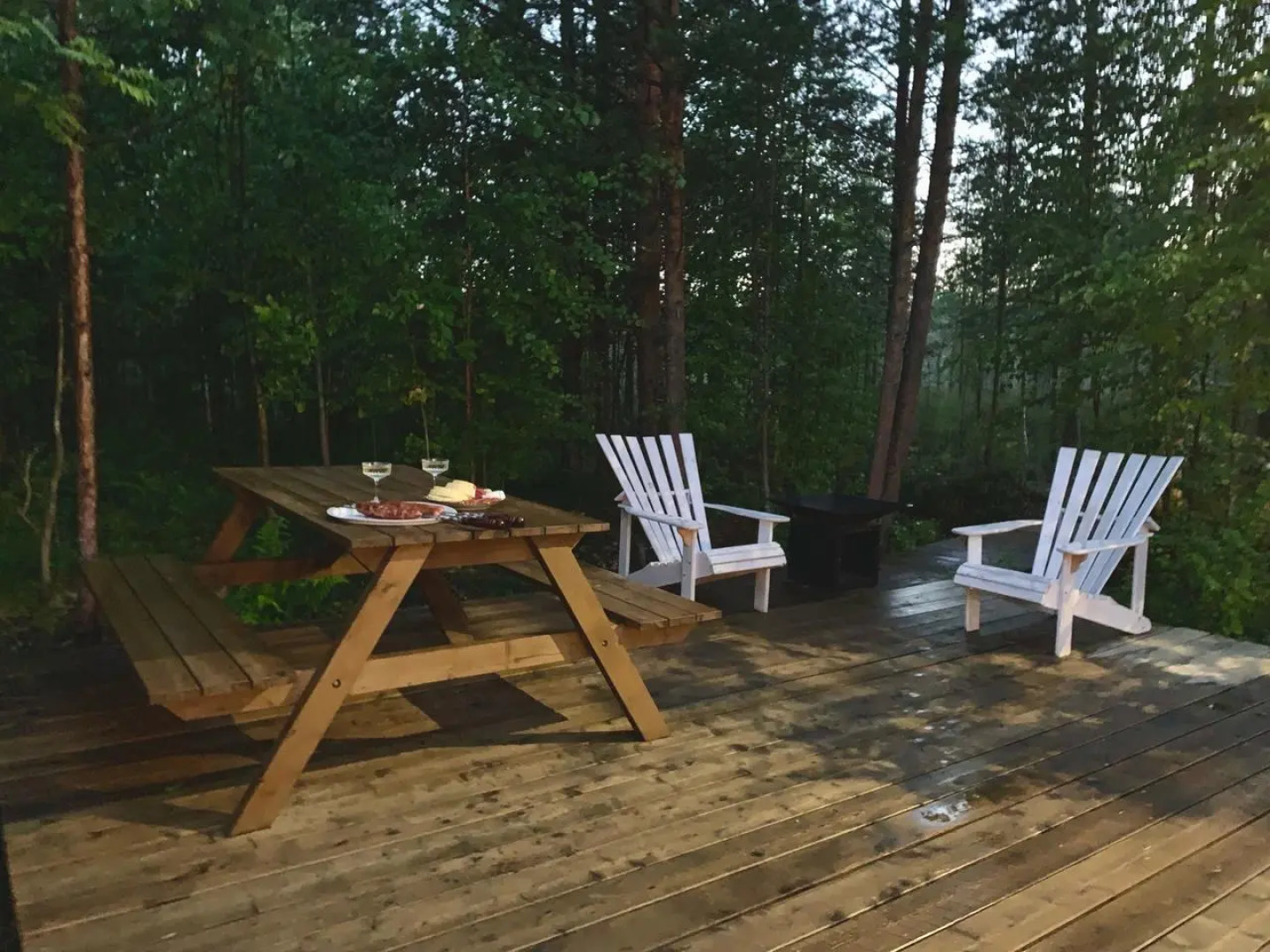 Вереск на локации Тайга