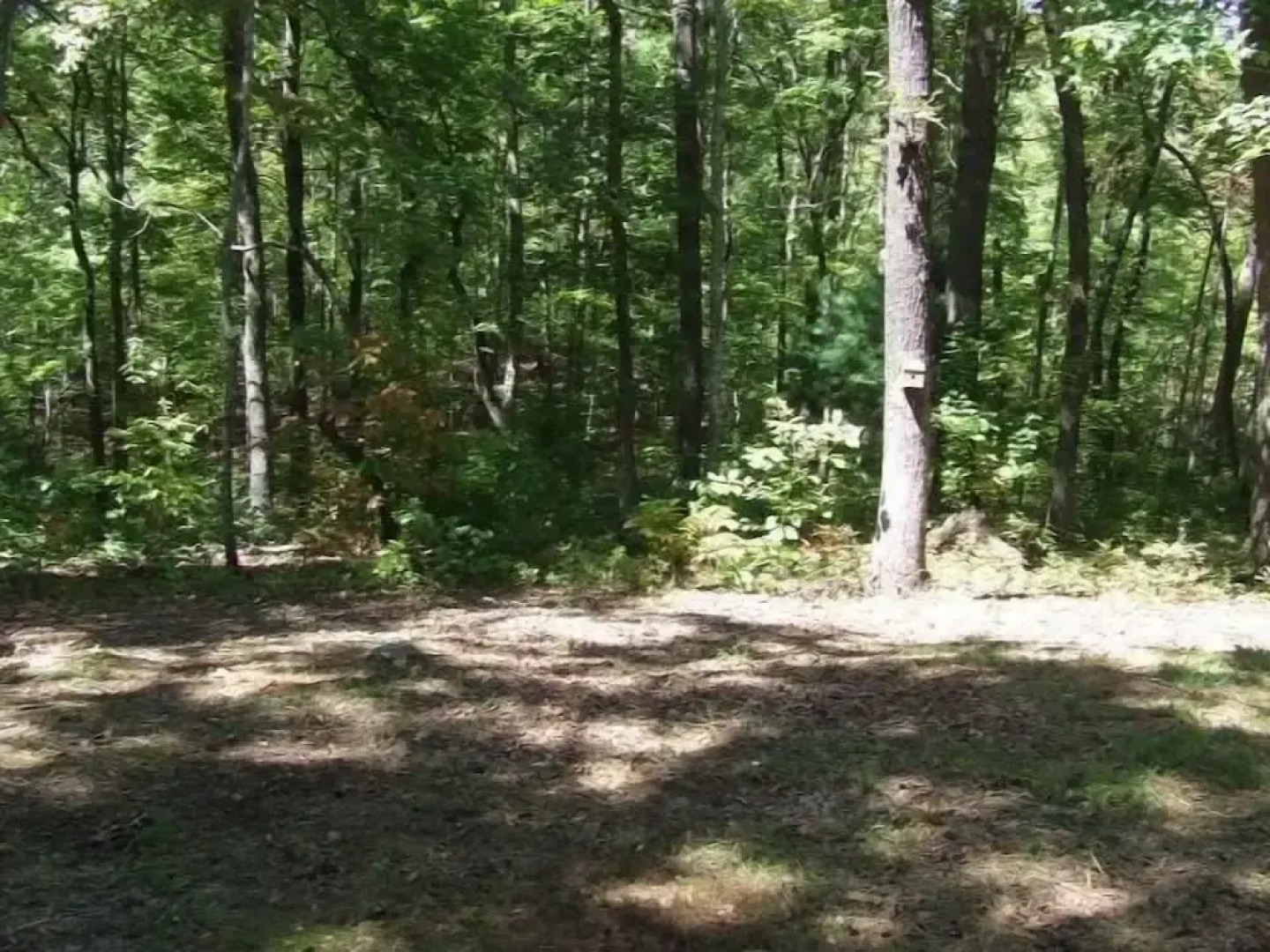 SERENITY WOODS Apartment 3 NEVAEH CABIN RENTALS