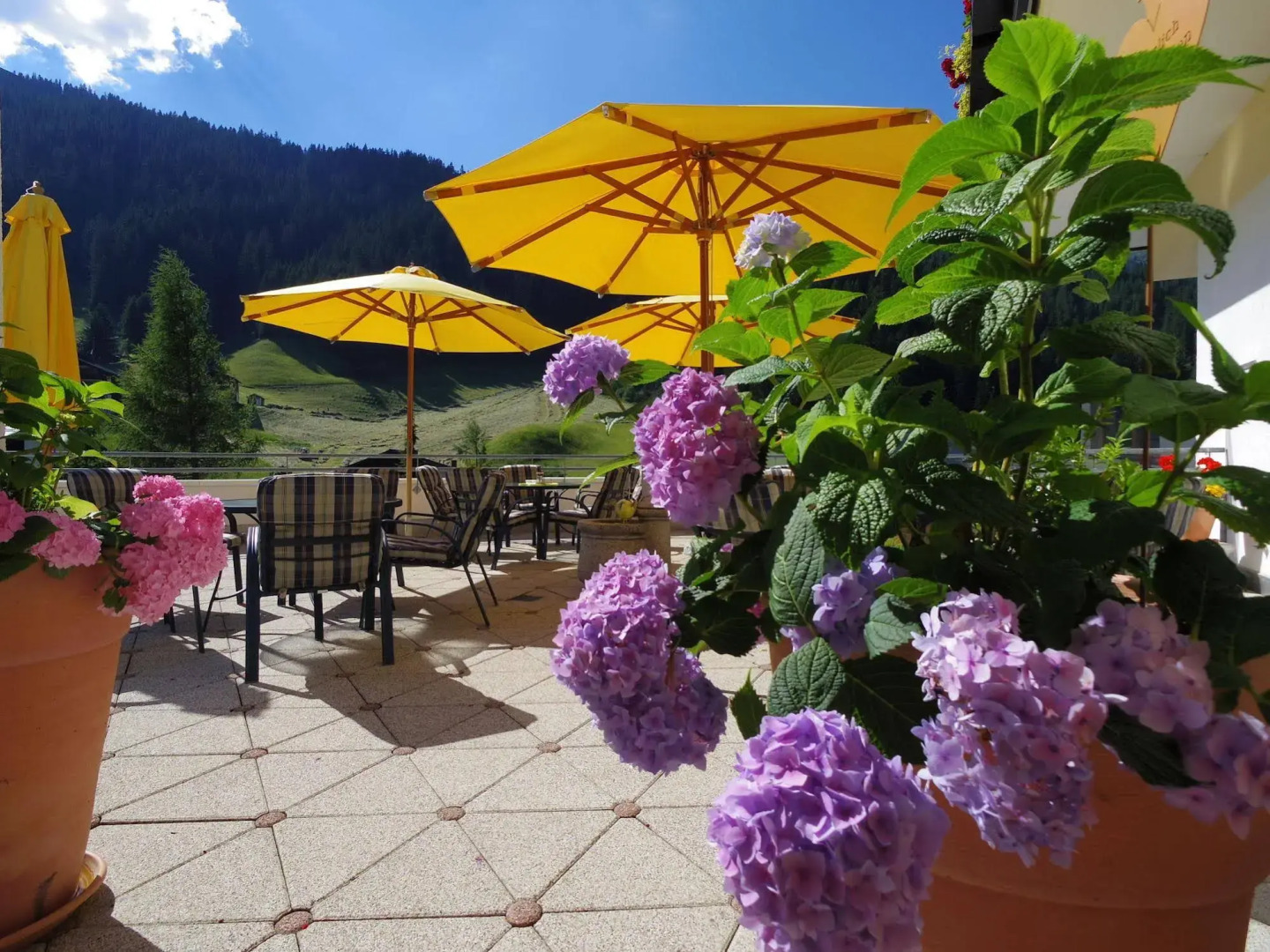 Sporthotel  Bachmann