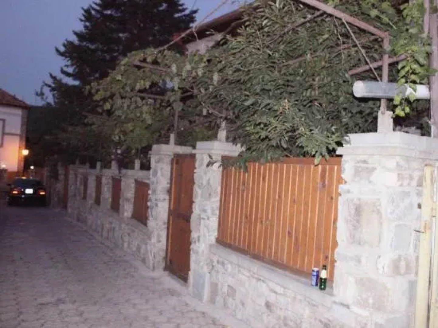 Guesthouse Dariali
