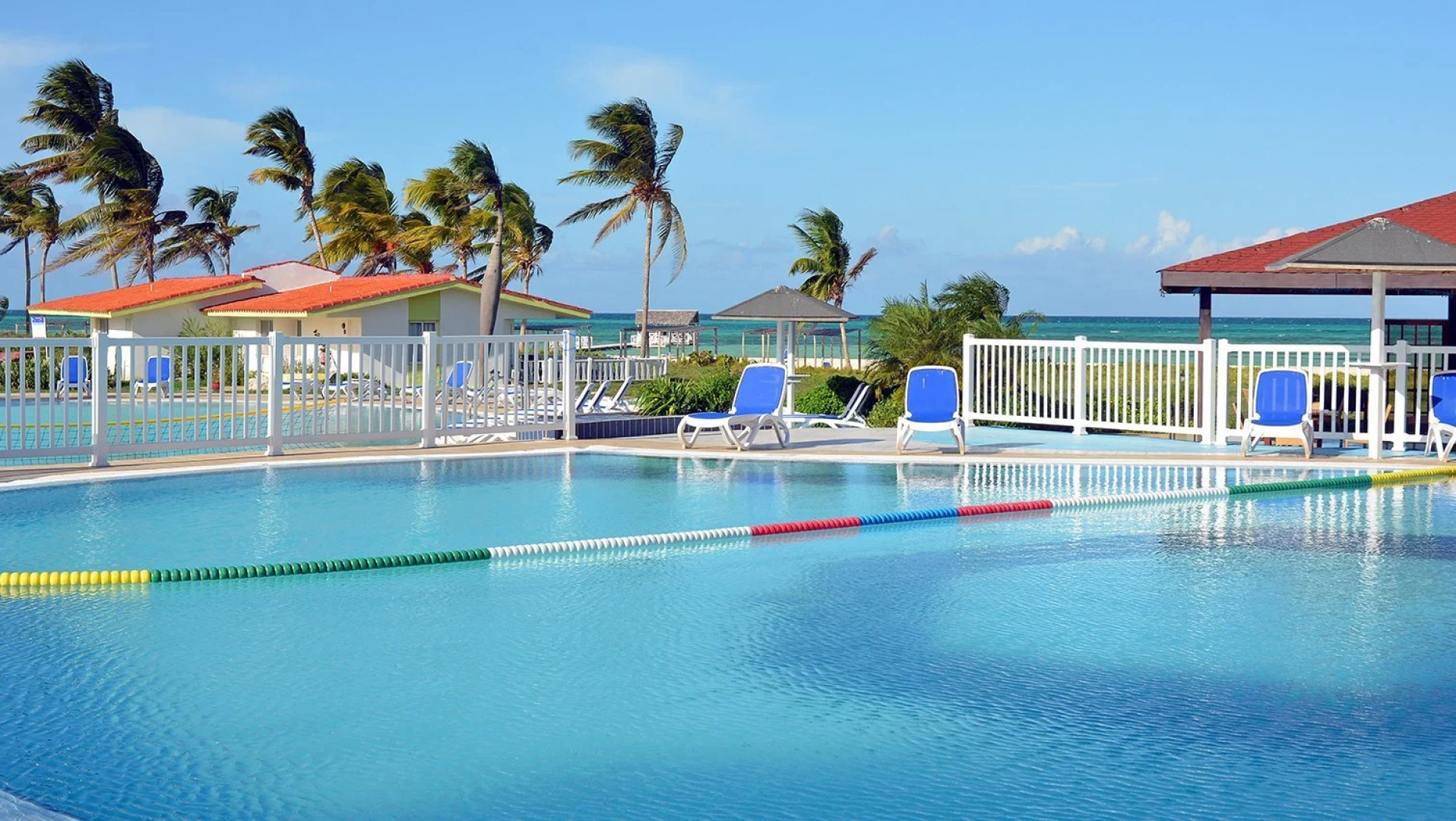 Starfish Cayo Guillermo